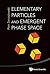 ELEMENTARY PARTICLES AND EMERGENT PHASE SPACE