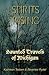 Spirits Rising (Haunted Travels of Michigan #3)