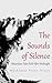 The Sounds of Silence. Mauritian Tales Told After Midnight by Moshumee Teena Dewoo