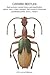 Carabid Beetles: Their Evol...