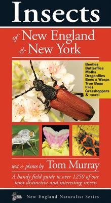 Insects of New England & New York (Naturalist Series)