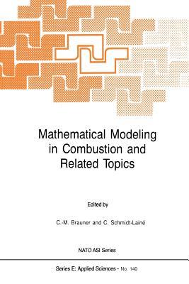 Mathematical Modeling in Combustion and Related Topics (NATO Science Series E:, 140)