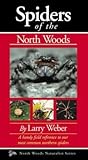 Spiders of the North Woods (North Woods Naturalist)
