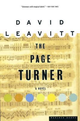 The Page Turner: A Compelling LGBTQ Literary Novel of Piano, Passion, and Transformative Love (Paperback)