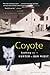 Coyote by Catherine Reid