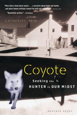Coyote: Seeking the Hunter in Our Midst (Paperback)
