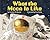 What the Moon Is Like (Let's-Read-and-Find-Out Science 2)