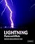 Lightning: Physics and Effects