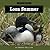 Loon Summer