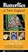 Butterflies of New England by Larry Weber