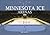 Minnesota Ice Arenas: A Picture Book of Indoor Ice Rinks in the State of Hockey