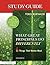 What Great Principals Do Differently by Beth Whitaker
