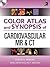 Color Atlas and Synopsis of Cardiovascular MR and CT (SET 2)