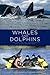 Whales and Dolphins: Cognit...