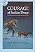 Courage at Indian Deep: An Autumn Blizzard, a Sinking Ship, and a Boy's Heroic Rescue for Kids (Ages 10-12)