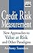 Credit Risk Measurement: New Approaches to Value at Risk and Other Paradigms, 1st Edition