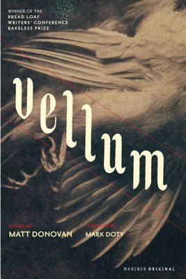 Vellum: Exquisite Debut Poems Meditating on Beauty, Art, and Violence from a New Voice