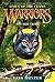 The Sun Trail (Warriors: Dawn of the Clans, #1)
