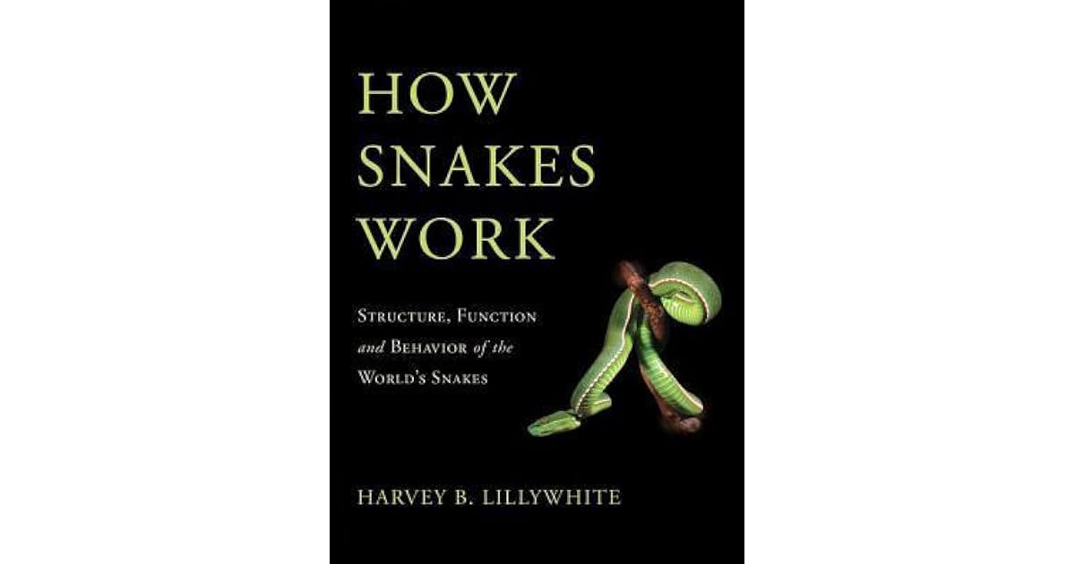 How Snakes Work Structure, Function and Behavior of the World's Snakes