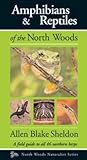 Amphibians & Reptiles of the North Woods