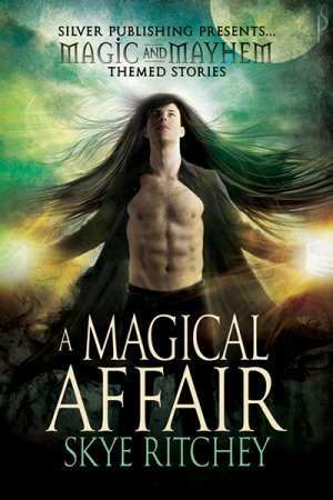 A Magical Affair (Magic and Mayhem Themed Stories)