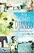 Django: The Small Dog with the Big Heart