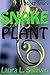Snake Plant