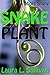 Snake Plant