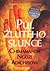 Půl žlutého slunce by Chimamanda Ngozi Adichie