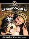 Bernedoodles:  A ...