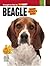 Beagle: The Pain, Politics ...