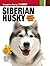 Siberian Husky (CompanionHo...