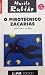 O Pirotécnico Zacarias e outros contos