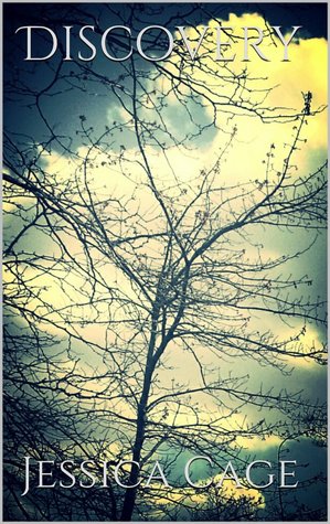 Discovery (Hybrid's Tale, #2)