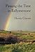 Passing the Time in Ballymenone by Henry Glassie