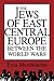 The Jews of East Central Europe Between the World Wars