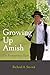 Growing Up Amish: The Rumsp...
