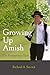 Growing Up Amish by Richard A. Stevick