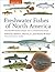 Freshwater Fishes of North America: Volume 1: Petromyzontidae to Catostomidae (Volume 1)