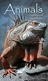 Children's Encyclopedia of Animals: Reptiles and Amphibians (EDUCATE AND ENTERTAIN SERIES)