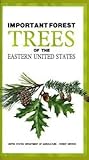 Important Forest Trees of the Eastern United States
