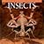 Insects (National Geographic Nature Library)