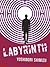 Labyrinth by Yoshinori Shimizu
