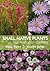 Small Native Plants for Australian Gardens