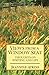 Views From a Window Seat: Thoughts on Writing and Life