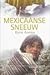 Mexicaanse sneeuw