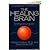 The Healing Brain