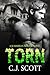 Torn (Summer in Winter, #2)