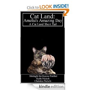 Cat Land:  Amelia's Amazing Day
