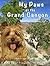 My Paws at the Grand Canyon